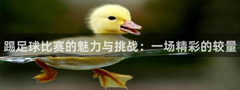 踢足球比赛的魅力与挑战：一场精彩的较量