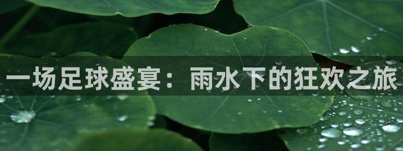 一场足球盛宴：雨水下的狂欢之旅