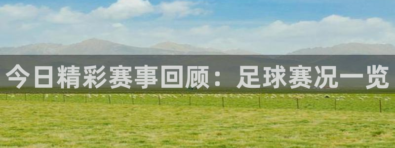 今日精彩赛事回顾：足球赛况一览