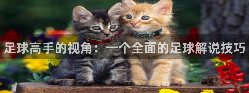 足球高手的视角：一个全面的足球解说技巧