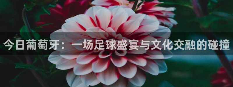 今日葡萄牙：一场足球盛宴与文化交融的碰撞
