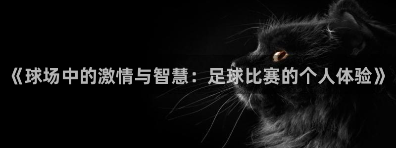 《球场中的激情与智慧：足球比赛的个人体验》