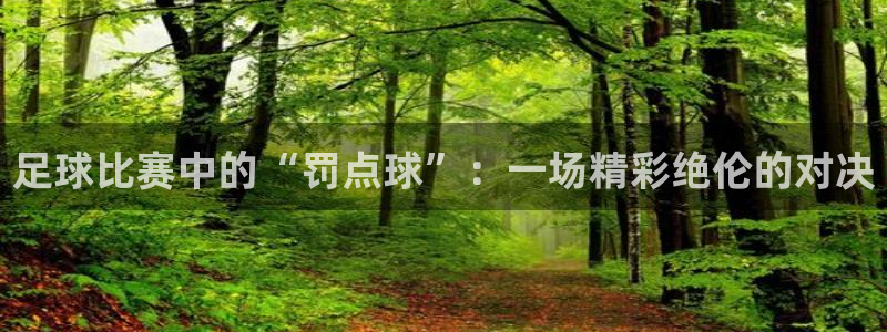  足球比赛中的“罚点球”：一场精彩绝伦的对决