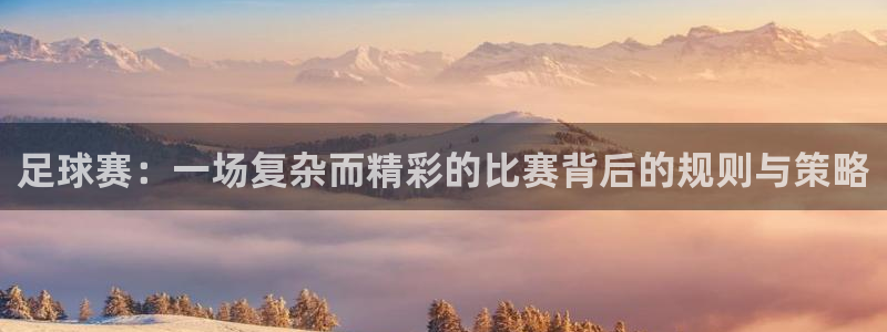  足球赛：一场复杂而精彩的比赛背后的规则与策略