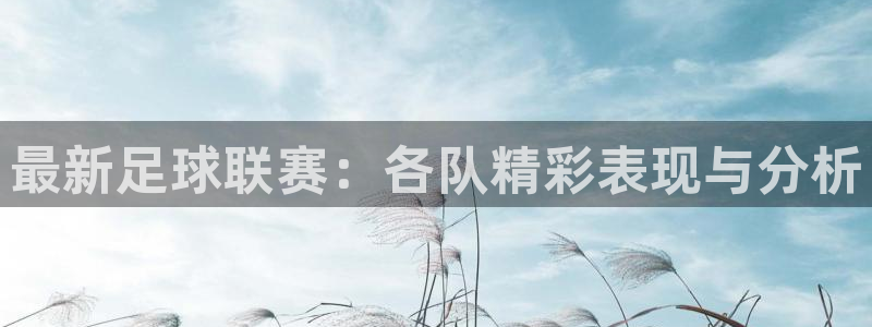  最新足球联赛：各队精彩表现与分析