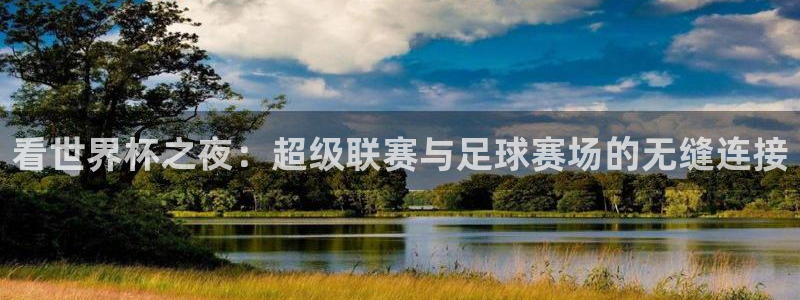  看世界杯之夜：超级联赛与足球赛场的无缝连接