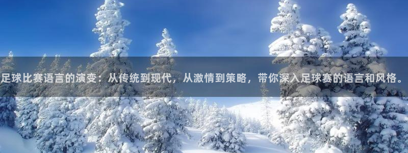 足球比赛语言的演变：从传统到现代，从激情到策略，带你深入足球