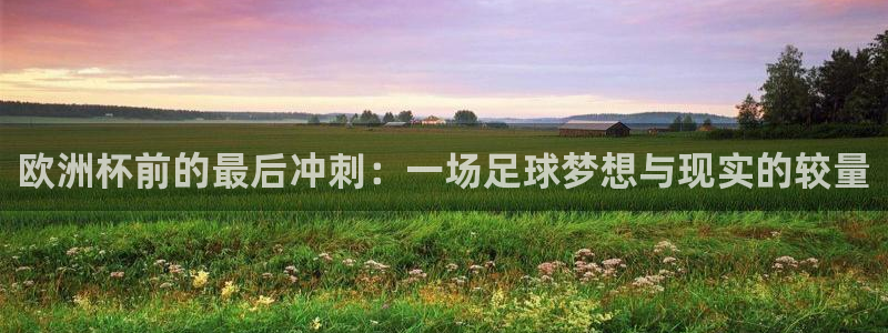 欧洲杯前的最后冲刺：一场足球梦想与现实的较量