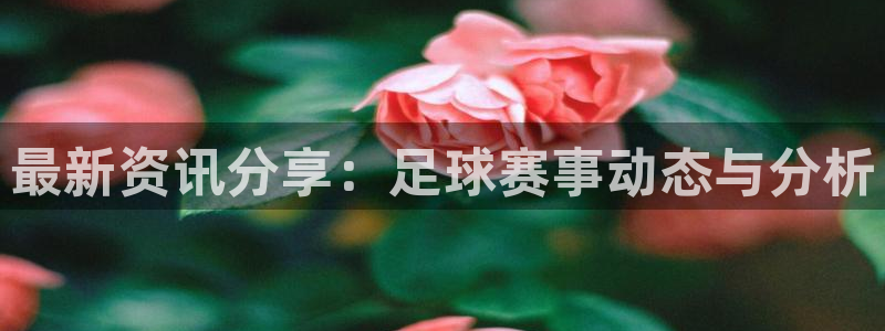  最新资讯分享：足球赛事动态与分析
