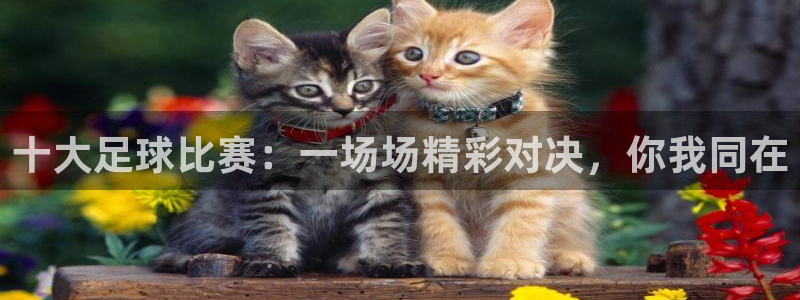  十大足球比赛：一场场精彩对决，你我同在