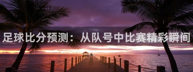 足球比分预测：从队号中比赛精彩瞬间