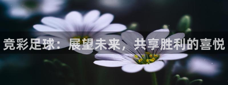 竞彩足球：展望未来，共享胜利的喜悦