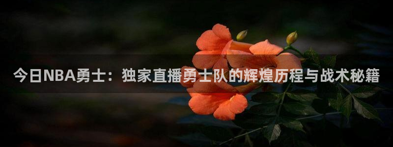 雨燕体育直播官网：今日NBA勇士：独家直播勇士队的辉煌历程与战术秘籍