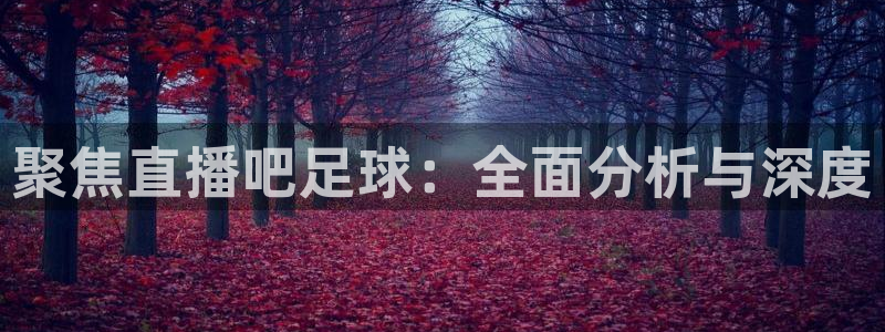 360雨燕足球直播：聚焦直播吧足球：全面分析与深度