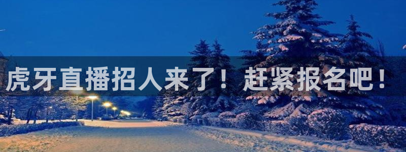 新雨燕直播体育：虎牙直播招人来了！赶紧报名吧！