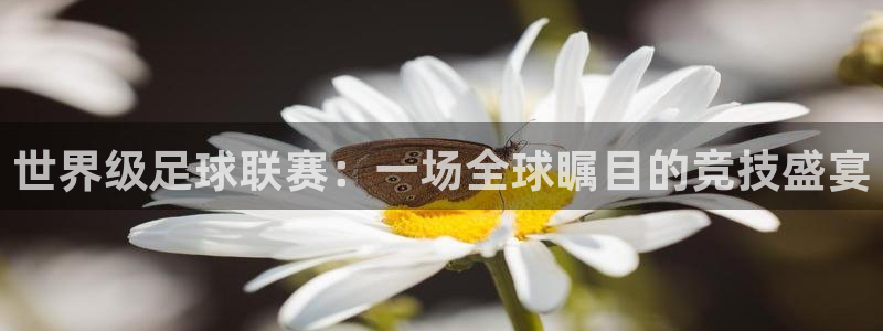 世界级足球联赛：一场全球瞩目的竞技盛