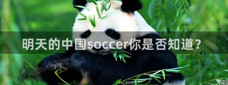 明天的中国soccer你是否知道？