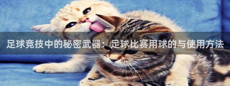 足球竞技中的秘密武器：足球比赛用球的