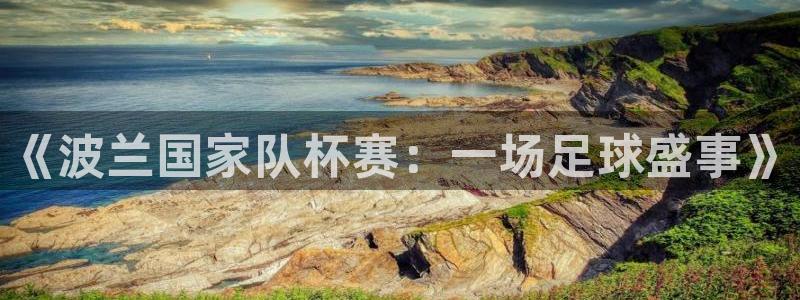 《波兰国家队杯赛：一场足球盛事》