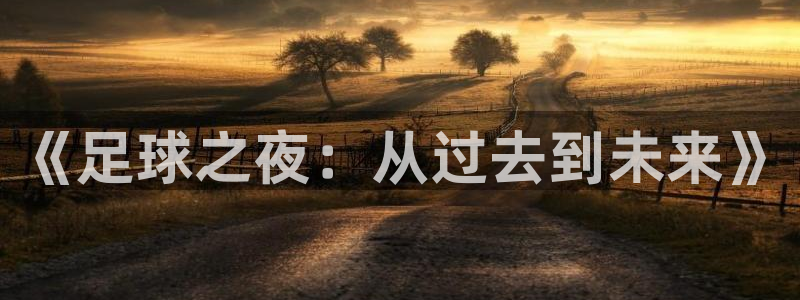 《足球之夜：从过去到未来》