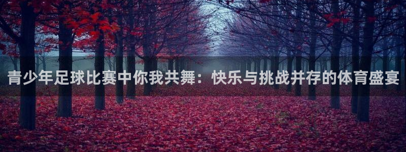 青少年足球比赛中你我共舞：快乐与挑战