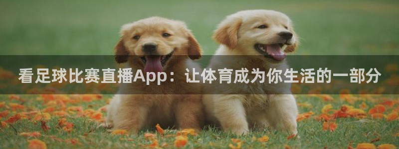 看足球比赛直播App：让体育成为你生