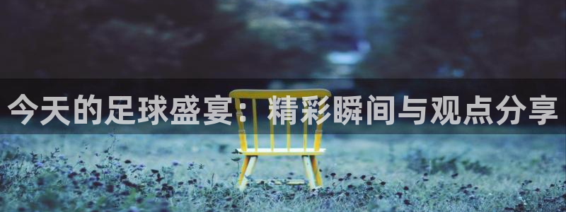 今天的足球盛宴：精彩瞬间与观点分享