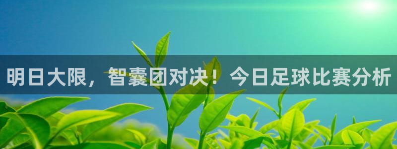 明日大限，智囊团对决！今日足球比赛分