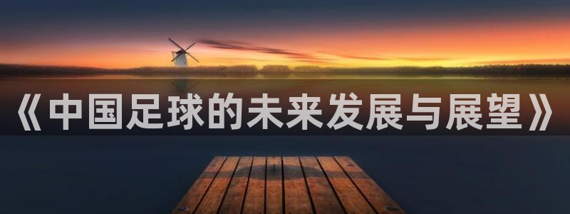《中国足球的未来发展与展望》
