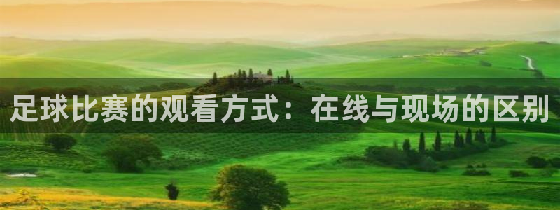 足球比赛的观看方式：在线与现场的区别