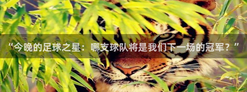 “今晚的足球之星：哪支球队将是我们下一场的冠军？”