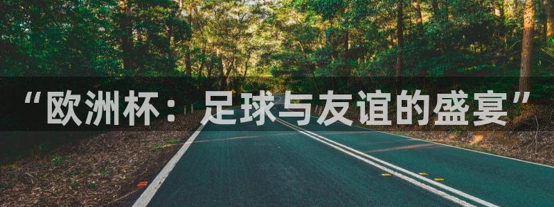 “欧洲杯：足球与友谊的盛宴”