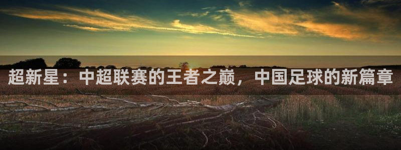 超新星：中超联赛的王者之巅，中国足球的新篇章