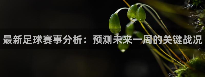 最新足球赛事分析：预测未来一周的关键战况