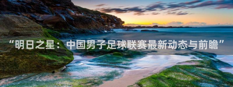 “明日之星：中国男子足球联赛最新动态与前瞻”