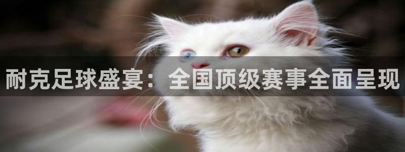 耐克足球盛宴：全国顶级赛事全面呈现