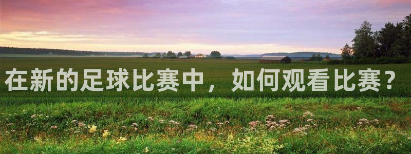  在新的足球比赛中，如何观看比赛？