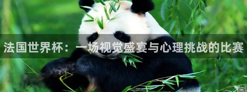 法国世界杯：一场视觉盛宴与心理挑战的比赛
