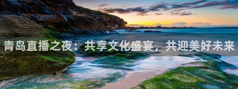 雨燕直播免费看足球：青岛直播之夜：共享文化盛宴，共迎美好未来