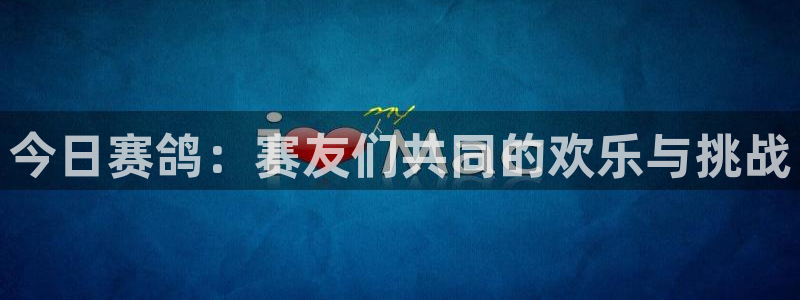 雨燕直播在线看球：今日赛鸽：赛友们共同的欢乐与挑战