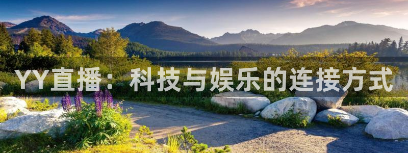 免费观看雨燕体育现场直播：YY直播：科技与娱乐的连接方式