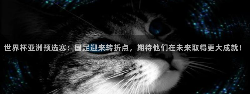 免费雨燕体育直播在线看：世界杯亚洲预选赛：国足迎来转折点，期待他们在未来取得更大成就！