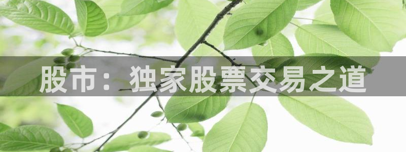 雨燕直播体育免费观看：股市：独家股票交易之道