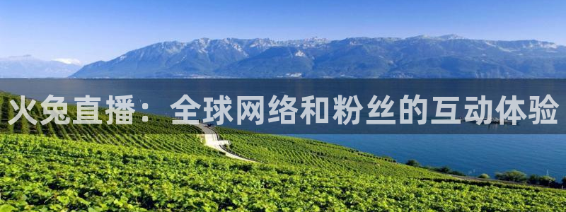 雨燕直播足球直播免费：火兔直播：全球网络和粉丝的互动体验