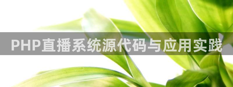 雨燕360体育免费直播小仙儿：PHP直播系统源代码与应用实践