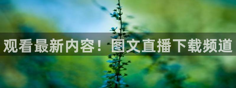 雨燕在线体育直播：观看最新内容！图文直播下载频道